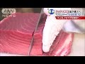 「マグロ警報」ってナニ？　発令されるとどうなるの(14/08/26)