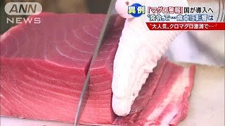 「マグロ警報」ってナニ？　発令されるとどうなるの(14/08/26)