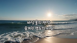 바닷물이 짠 이유 #바닷물 #바닷물염도 #바닷물소금 #소금 #염도
