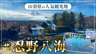 山梨県の人気観光スポット「忍野八海」青い池が神秘的！食べ歩きもできる！お店紹介