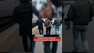 В Приморье Задержали Курьера, Приехавшего В Регион По Заданию Аферистов  #Мошенничество #Shorts