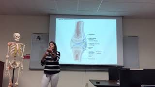 Joints- Dr. Jessica Guerrero