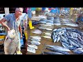 Check Out the Large Sea Food Market You&#39;ve Never Seen | Halawatha Fish Market