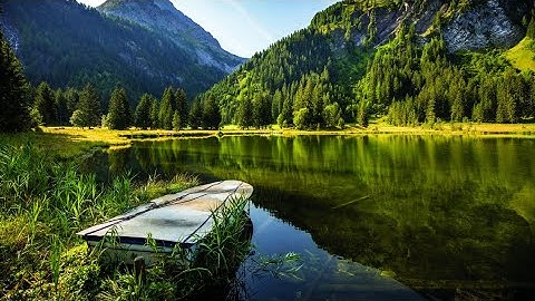 سورة ص من الآية ٢٩ إلى الآية ٣٠ بصوت القارئ إسلام صبحي ❀