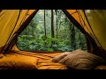 Watching the Rain from a Cozy Tent