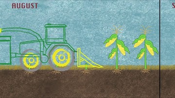 Chapter 4: Farmers going under ‘cover’