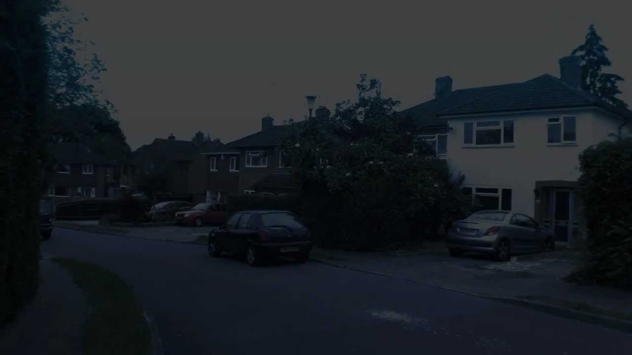 Test Day For Night Owle Bubo