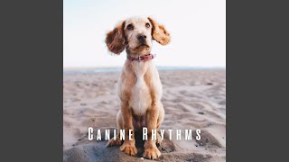 Tail Wagging in Chill Melodies
