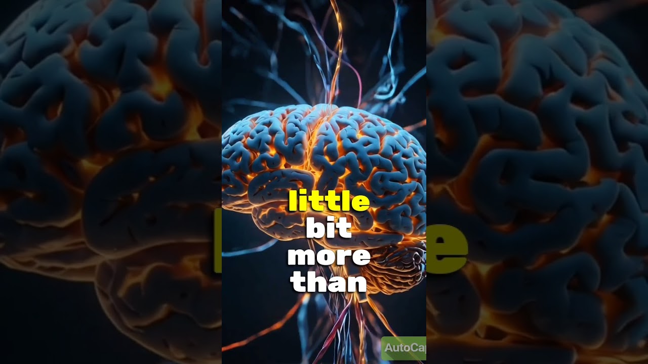 how to improve your brain power 🤯 brain vs computer 