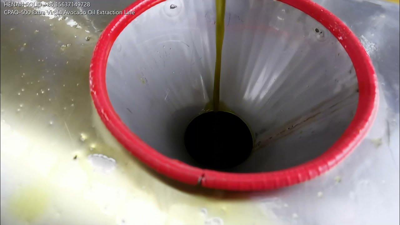 CPAO 500 Extra Virgin Avocado Oil Extraction Machine YouTube
