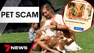 Celebrity Pet lovers fleeced of thousands of dollars in cruel scam blow | 7 News Australia Wealth