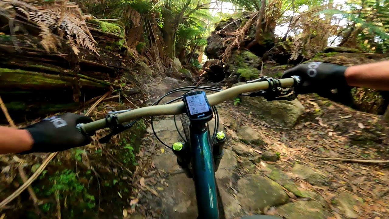 Berms, Ferns, Repeat...