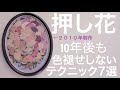 【押し花】10年後も色褪せしないテクニック7選