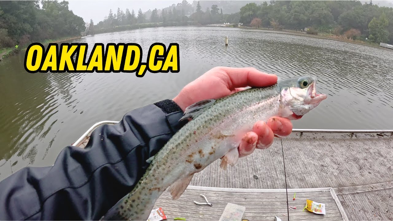 Urban Fishing in OAKLAND,CA!!! EASY LIMIT!