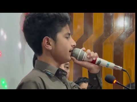 Mushkil Ki Kia Majal Bhala | Syed Salih Jalali | Wiladat ba Saadat Imam Raza (a.s)
