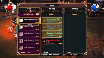 Torchlight - Vast Chasm Floor 20