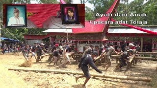 Upacara adat Toraja Unik || Ayah dan anak Since