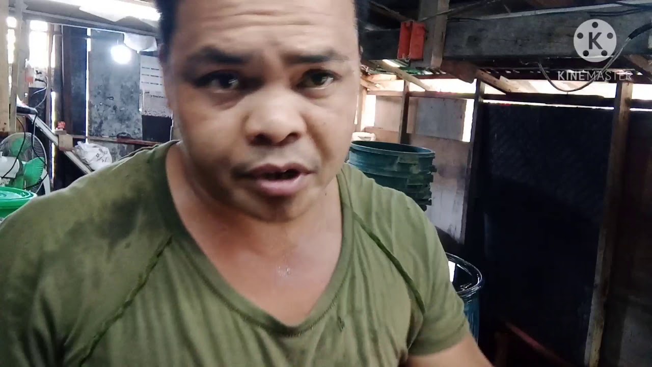 PROSESO NG PAGGAWA NG TOGIE