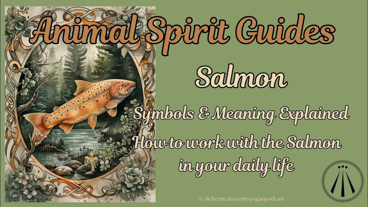 Finding Your Spirit Guide: The Wise Salmon Speaks - YouTube