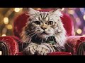 Whimsical Feline Humor