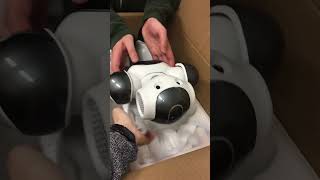 NAO unboxing
