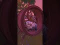 Our demo is live right now! #survivalgame #coopgaming #witchspire