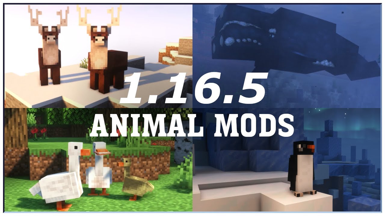 Best  Animal Mods [Forge] - Minecraft Cinematic Showcase - YouTube