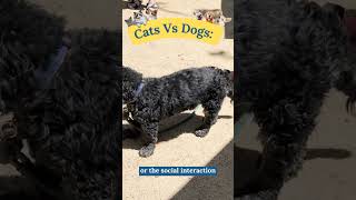 Cats Vs Dogs? The Science Has Spoken