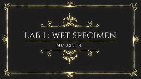 MMB3314 LAB 1 Wet Specimen Preservation_Student