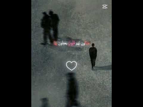 افلم يسيروا في الأرض فتكون لهم قلوب اشتركوا 