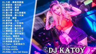 DJ Katoy Remix (中文EDM Nonstop精选) 全新獨家慢搖《畢竟深愛過 ✘ 桃花諾 ✘ 你比我懂我 ✘ 戀人未滿 ✘ 亂世巨星》100首NonStop逆襲