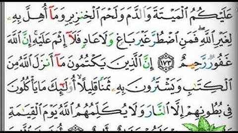 مصحف التجويد الصفحة 26 إبراهيم الأخضر