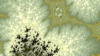 Tree Collector - Fractal eXtreme Footage