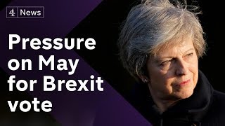 Brexit: Calls for new referendum but can it happen?