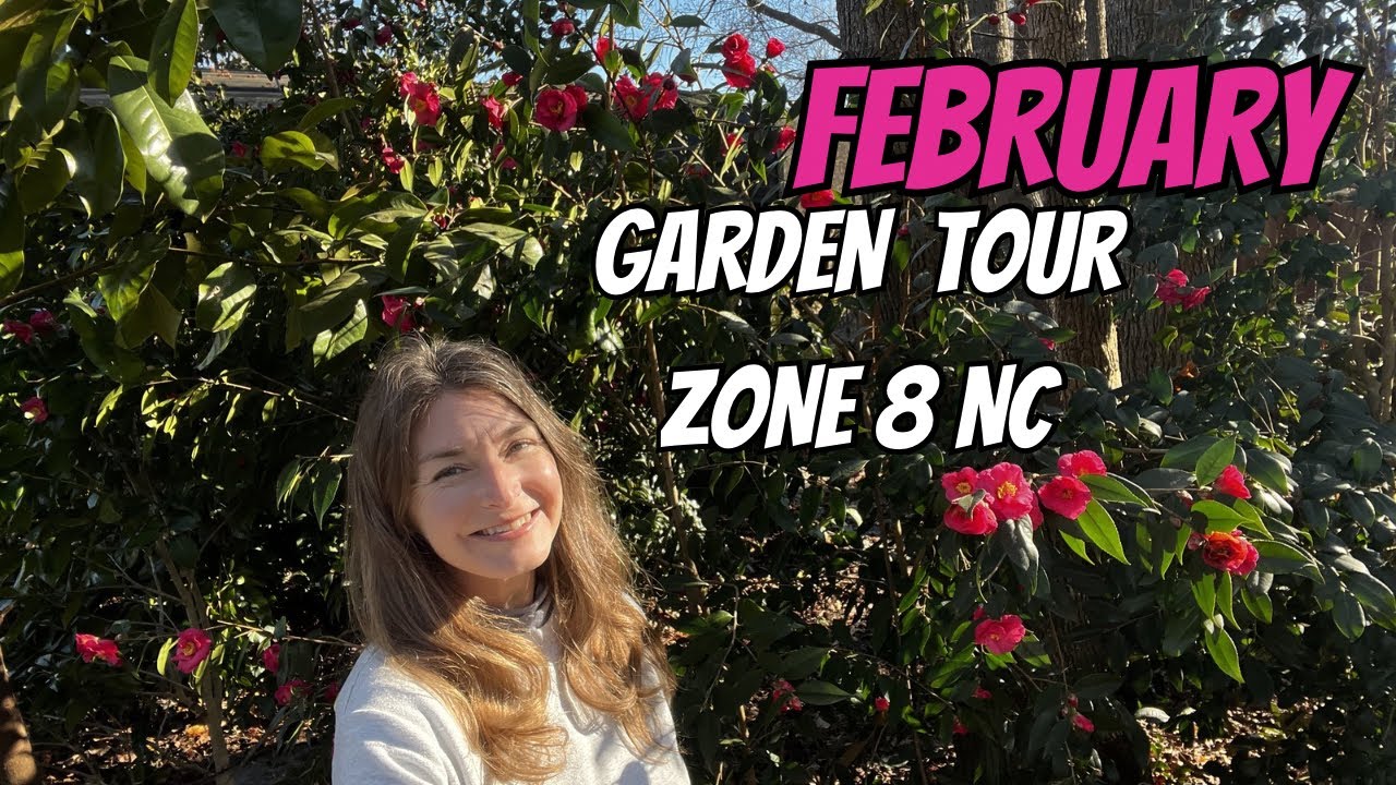 Февральская экскурсия по садам, зона 8, Северная Каролина