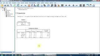 Lesson 12 - Building Frequency Tables in SPSS