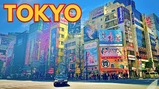 Токио: шопинг в течение всего дня в Акихабаре, Япония