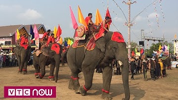 Tưng bừng hội Voi Buôn Đôn