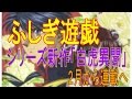 ふしぎ遊戯 シリーズ 新作「白虎異聞」　2月から 連載へ