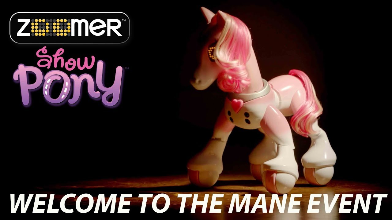 Zoomer | Show Pony | Welcome To The  Mane Event
