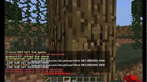 Tips and Tricks! || MCPVP-The Hunger Games! (EP.1) || Minecraft