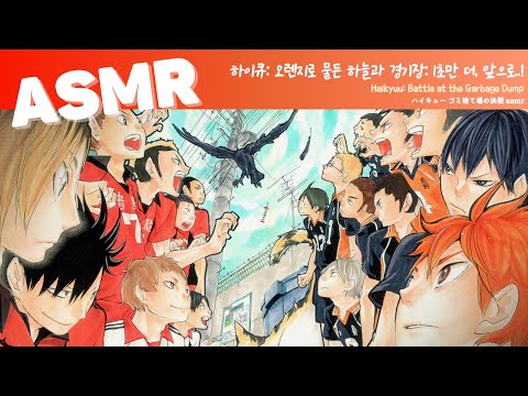 ASMR 하이큐!! 🐦‍⬛🐈 | 내일을 향하는 오렌지빛의 하늘로 날아가는거야 🌅🍊|  Haikyuu  Battle at the Garbage Dump | ハイキュー ゴミ捨て場の決戦