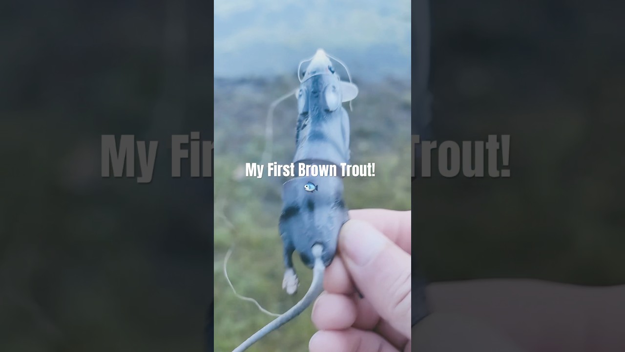 Finally Caught My First Brown Trout in Southern Oregon! 