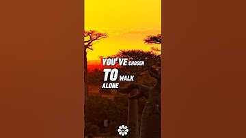 Are you following the crowd or leading your own path ? 🚶‍♂️ #motivation #success #real #inspiration