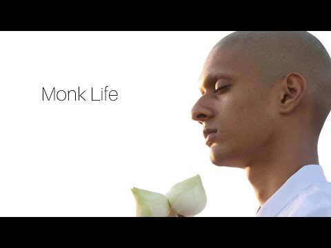 Download MONK LIFE: The Alternative Path (HOW TO BECOME A MONK IN THAILAND IN 2020)