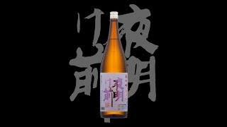 夜明け前（よあけまえ）「特別本醸造」辰の吟生酒28BY　Yoakemae tokubetsuhonjozo tatsunogin namazake 28by