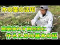 【自然栽培】剪定した葉の活用．マルチ， 循環，害虫，生態多様性，自然を模すとは？