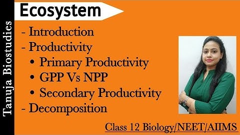 Ecosystem - Introduction | GPP Vs NPP | Decomposition (Decomposer) |Detritus|Leaching |Class 12/NEET