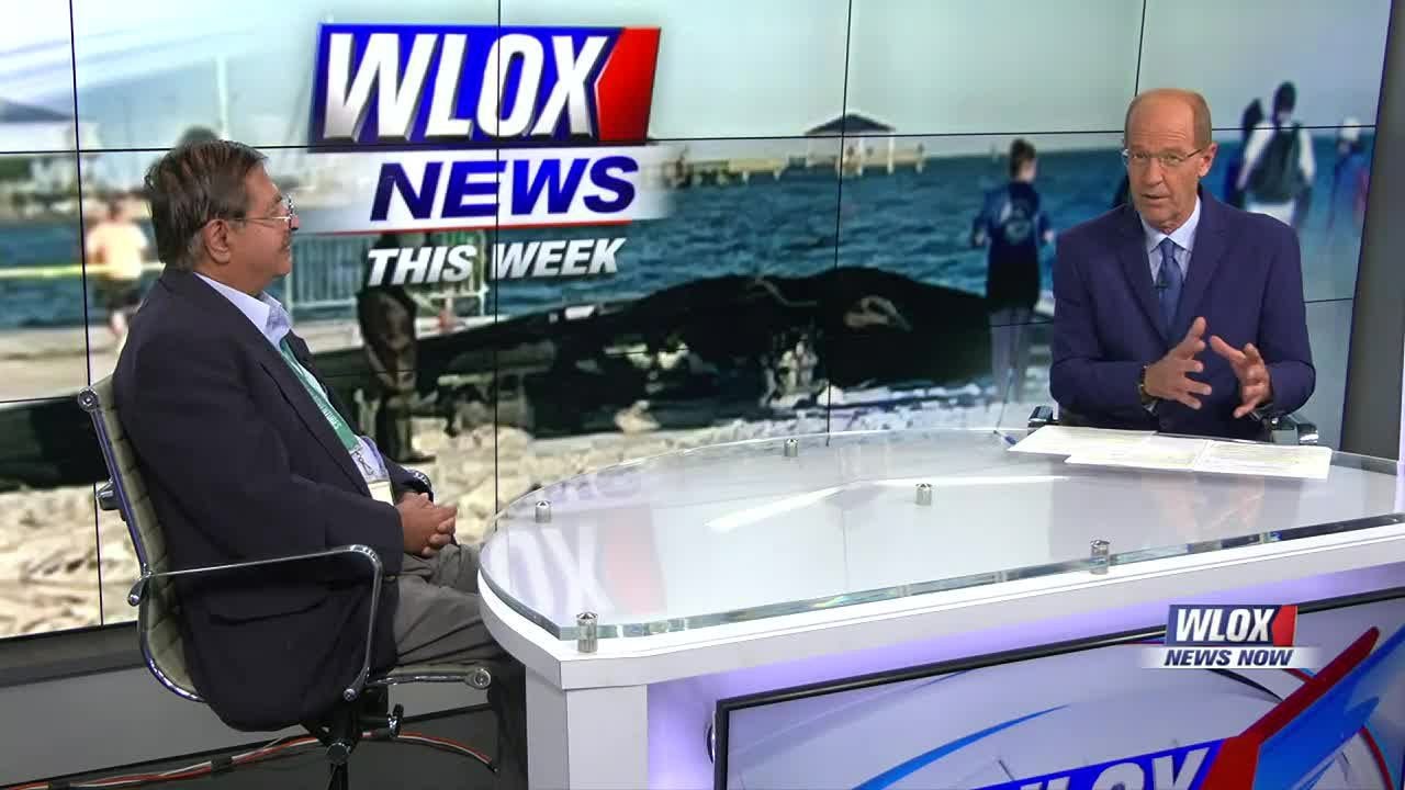 Dr. Moby Solangi discusses this week's whale stranding in Pass ...