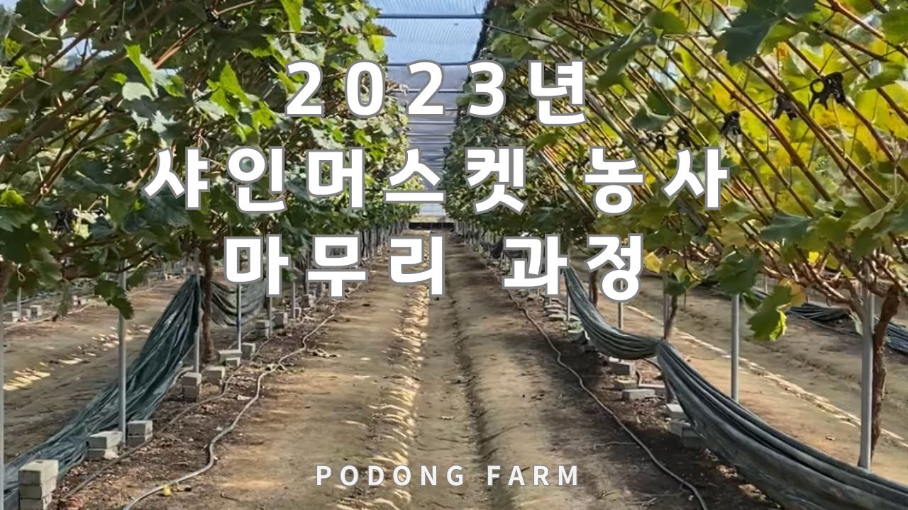 올해 농사를 마무리하는 과정!!